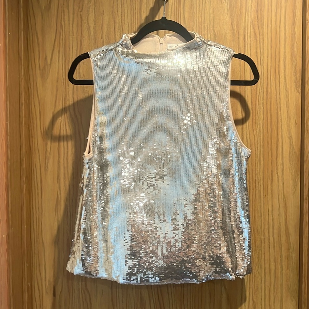 Zara sequin top